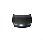MOTOR KAPUTU THALİA/CLİO SYMBOL 2009- BOZTEKİN - resmi